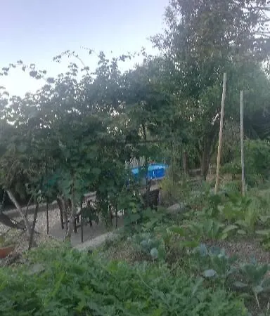Ca' Clementine Guest house *